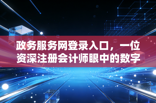 政务服务网登录入口,一位资深注册会计师眼中的数字政务变迁与企业生存指南