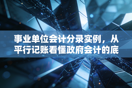 事业单位会计分录实例,从平行记账看懂政府会计的底层逻辑与实务挑战