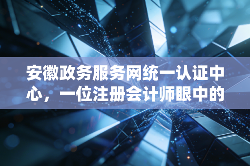 安徽政务服务网统一认证中心，一位注册会计师眼中的数字化通关密钥与效率革命