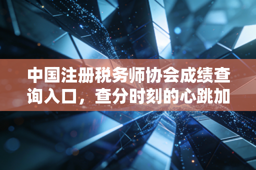 中国注册税务师协会成绩查询入口,查分时刻的心跳加速与税务师职业的深度思考