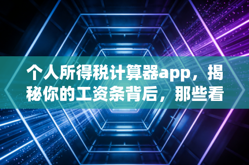 个人所得税计算器app,揭秘你的工资条背后,那些看不见的税务逻辑