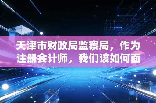 天津市财政局监察局，作为注册会计师，我们该如何面对这把达摩克利斯之剑？