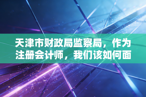 天津市财政局监察局，作为注册会计师，我们该如何面对这把达摩克利斯之剑？