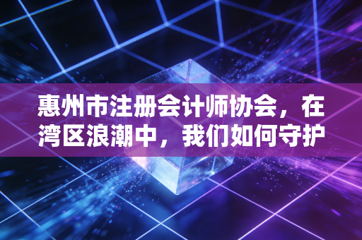 惠州市注册会计师协会，在湾区浪潮中，我们如何守护这座城市的经济账本？