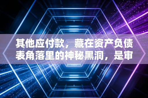 其他应付款,藏在资产负债表角落里的神秘黑洞,是审计师的噩梦还是企业的避风港?