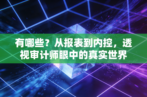 有哪些？从报表到内控，透视审计师眼中的真实世界