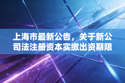 上海市最新公告，关于新公司法注册资本实缴出资期限的深度解读与企业应对全攻略