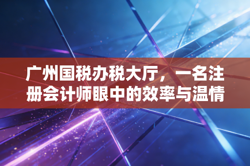 广州国税办税大厅，一名注册会计师眼中的效率与温情，以及那些不得不说的坑