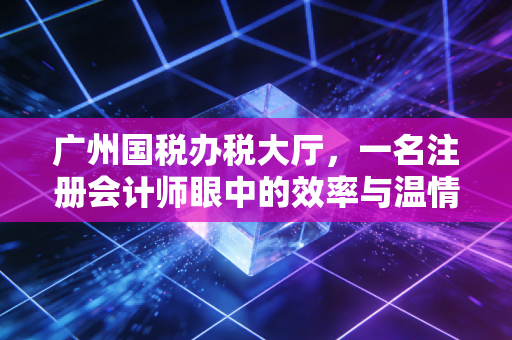 广州国税办税大厅,一名注册会计师眼中的效率与温情,以及那些不得不说的坑