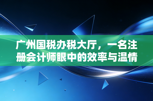 广州国税办税大厅，一名注册会计师眼中的效率与温情，以及那些不得不说的坑