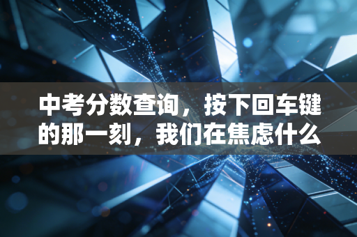 中考分数查询,按下回车键的那一刻,我们在焦虑什么?