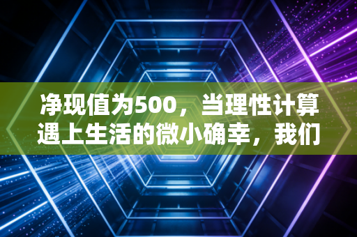 净现值为500,当理性计算遇上生活的微小确幸,我们该如何抉择?