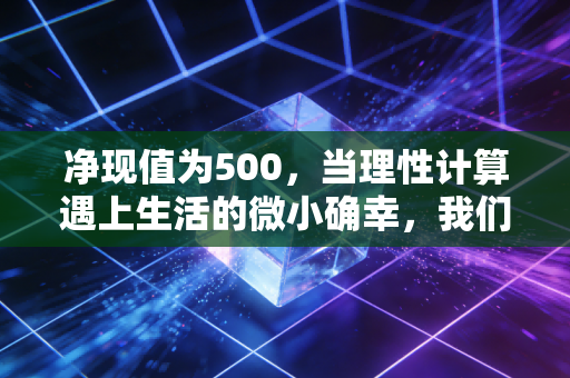 净现值为500，当理性计算遇上生活的微小确幸，我们该如何抉择？