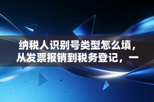 纳税人识别号类型怎么填,从发票报销到税务登记,一次搞懂那些让你头秃的选项