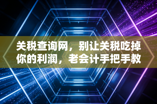 关税查询网,别让关税吃掉你的利润,老会计手把手教你如何精准避坑