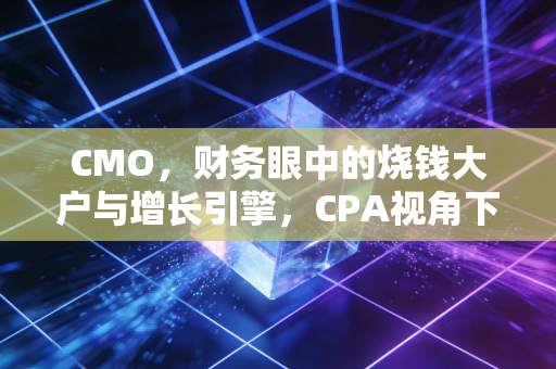 CMO，财务眼中的烧钱大户与增长引擎，CPA视角下的爱恨博弈