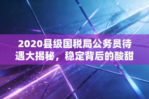 2020县级国税局公务员待遇大揭秘，稳定背后的酸甜苦辣与真实账单