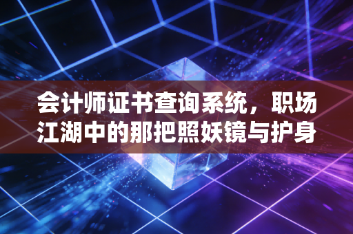 会计师证书查询系统，职场江湖中的那把照妖镜与护身符