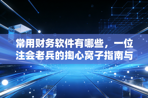常用财务软件有哪些,一位注会老兵的掏心窝子指南与避坑实录