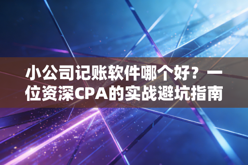 小公司记账软件哪个好？一位资深CPA的实战避坑指南与真心推荐