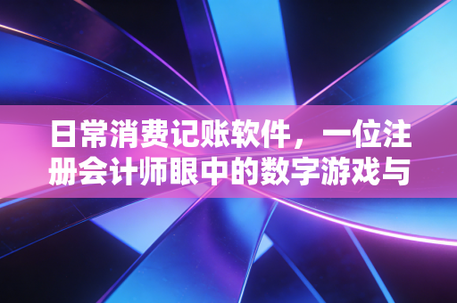 日常消费记账软件，一位注册会计师眼中的数字游戏与生活真相