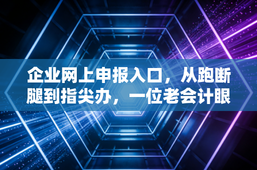 企业网上申报入口，从跑断腿到指尖办，一位老会计眼中的税务数字化变迁
