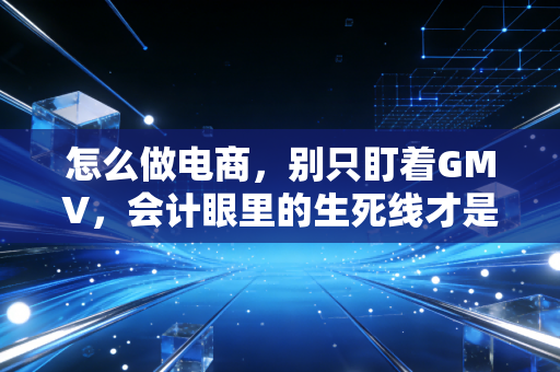 怎么做电商，别只盯着GMV，会计眼里的生死线才是关键