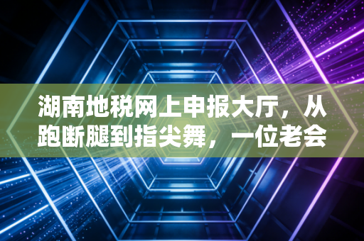 湖南地税网上申报大厅,从跑断腿到指尖舞,一位老会计的数字化大逃亡