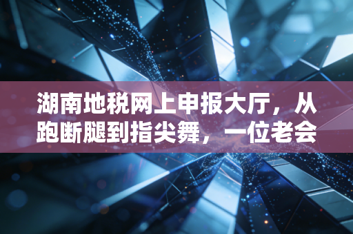 湖南地税网上申报大厅,从跑断腿到指尖舞,一位老会计的数字化大逃亡