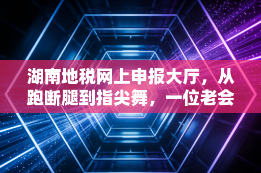 湖南地税网上申报大厅，从跑断腿到指尖舞，一位老会计的数字化大逃亡