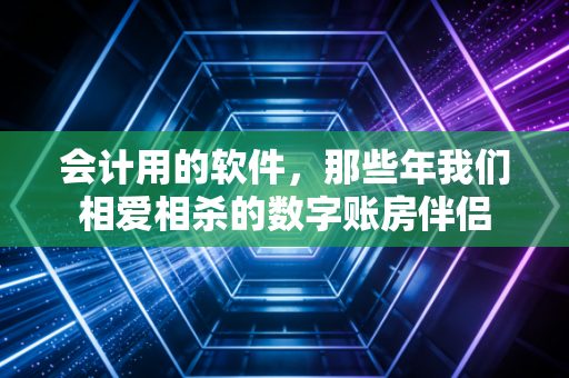 会计用的软件，那些年我们相爱相杀的数字账房伴侣