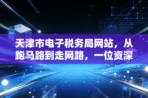 天津市电子税务局网站，从跑马路到走网路，一位资深注会眼中的数字化变革