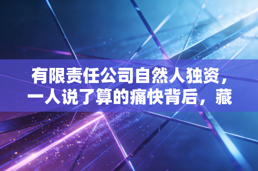 有限责任公司自然人独资，一人说了算的痛快背后，藏着老会计最想提醒你的那些雷区