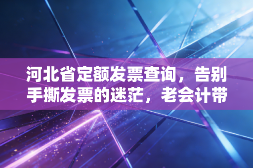 河北省定额发票查询，告别手撕发票的迷茫，老会计带你读懂背后的税务逻辑
