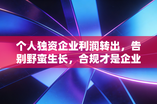 个人独资企业利润转出，告别野蛮生长，合规才是企业家的护身符