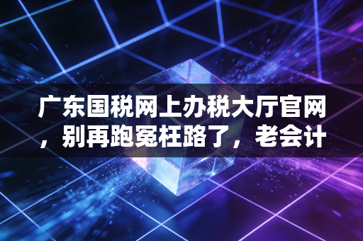 广东国税网上办税大厅官网，别再跑冤枉路了，老会计带你解锁高效办税新姿势