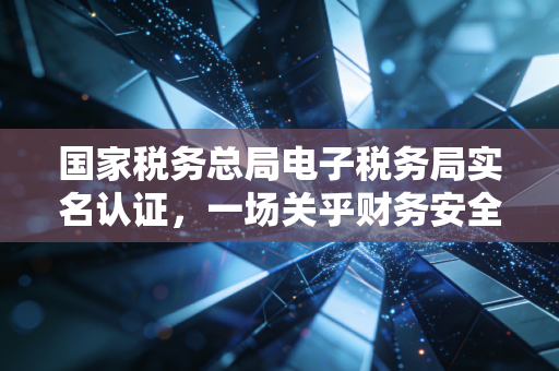 国家税务总局电子税务局实名认证，一场关乎财务安全与效率的数字化变革