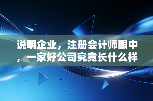 说明企业，注册会计师眼中，一家好公司究竟长什么样？