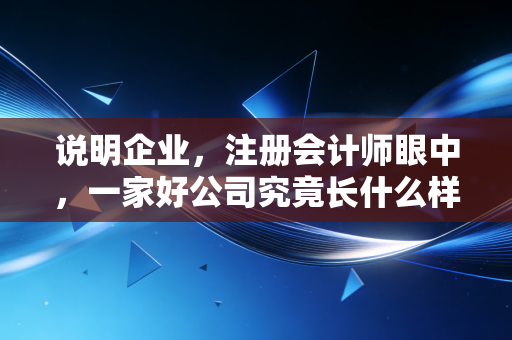 说明企业，注册会计师眼中，一家好公司究竟长什么样？