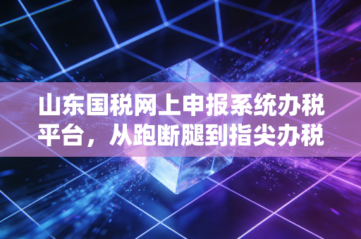 山东国税网上申报系统办税平台，从跑断腿到指尖办税的痛与快乐