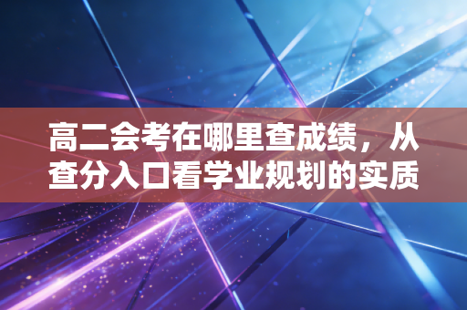 高二会考在哪里查成绩，从查分入口看学业规划的实质性程序