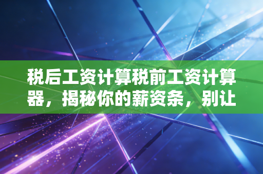 税后工资计算税前工资计算器,揭秘你的薪资条,别让五险一金成为看不懂的盲盒