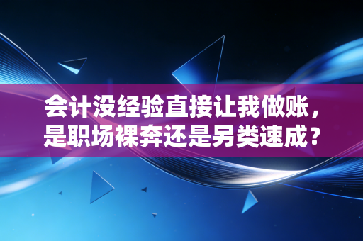 会计没经验直接让我做账,是职场裸奔还是另类速成?——一个注会老兵的真心话