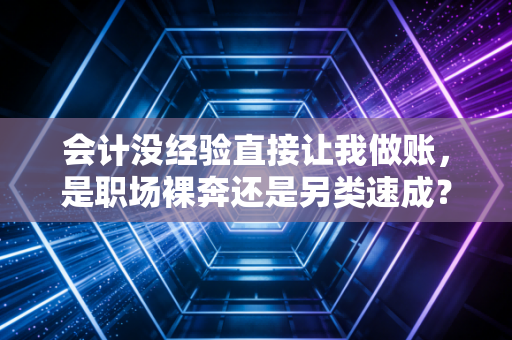 会计没经验直接让我做账，是职场裸奔还是另类速成？——一个注会老兵的真心话
