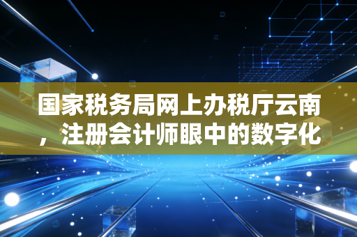 国家税务局网上办税厅云南，注册会计师眼中的数字化办税实战指南与避坑手册