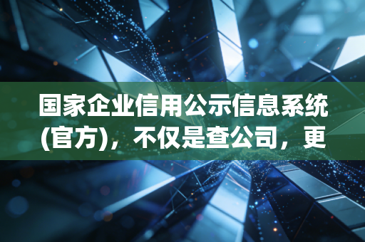 国家企业信用公示信息系统(官方),不仅是查公司,更是商业世界的照妖镜——一位注会师的掏心窝子话