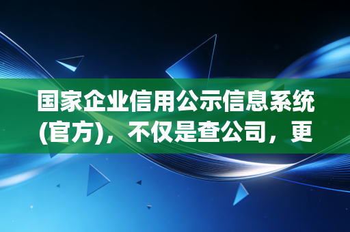国家企业信用公示信息系统(官方)，不仅是查公司，更是商业世界的照妖镜——一位注会师的掏心窝子话
