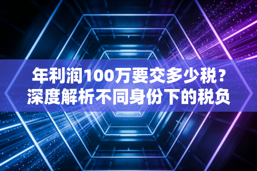 年利润100万要交多少税？深度解析不同身份下的税负差异与生存智慧