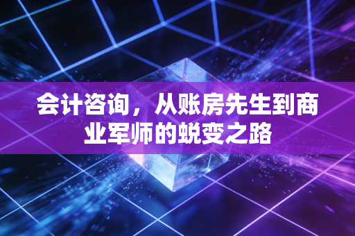会计咨询，从账房先生到商业军师的蜕变之路