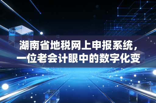 湖南省地税网上申报系统,一位老会计眼中的数字化变迁与实操心得
